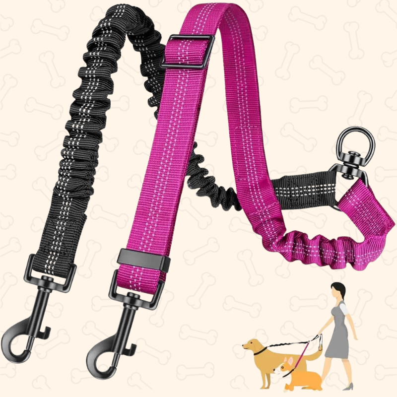 Shadow Tangle-Free Dual Dog Leash