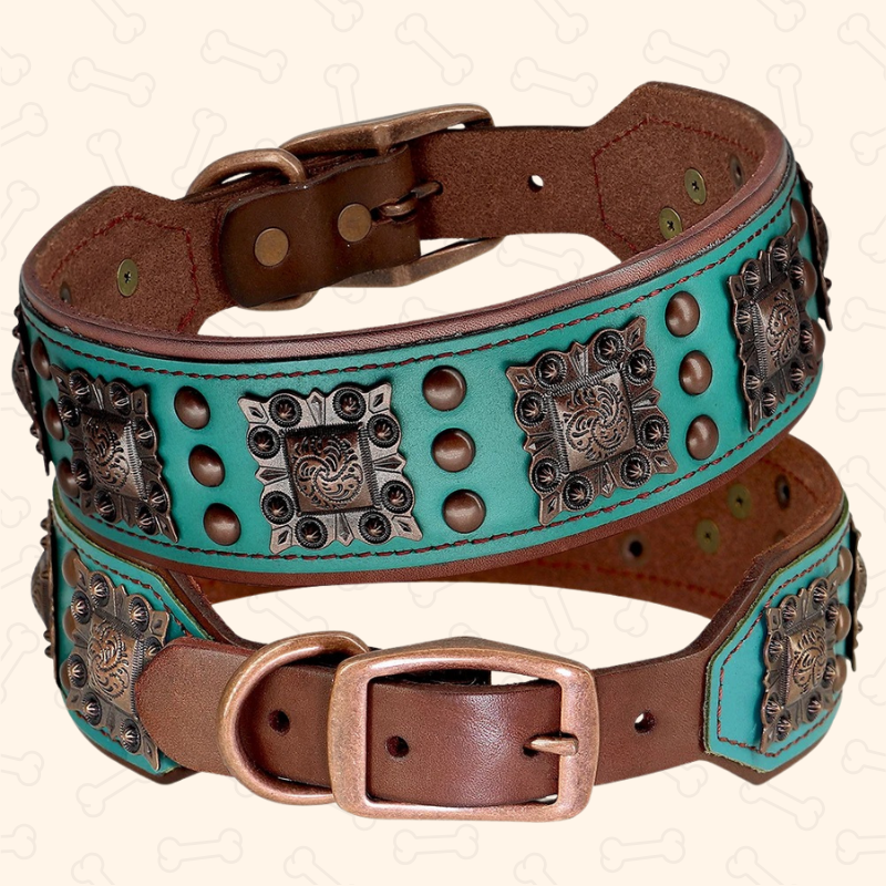 Shadow Royal Guard 2-Inch Wide Leather Dog Collar
