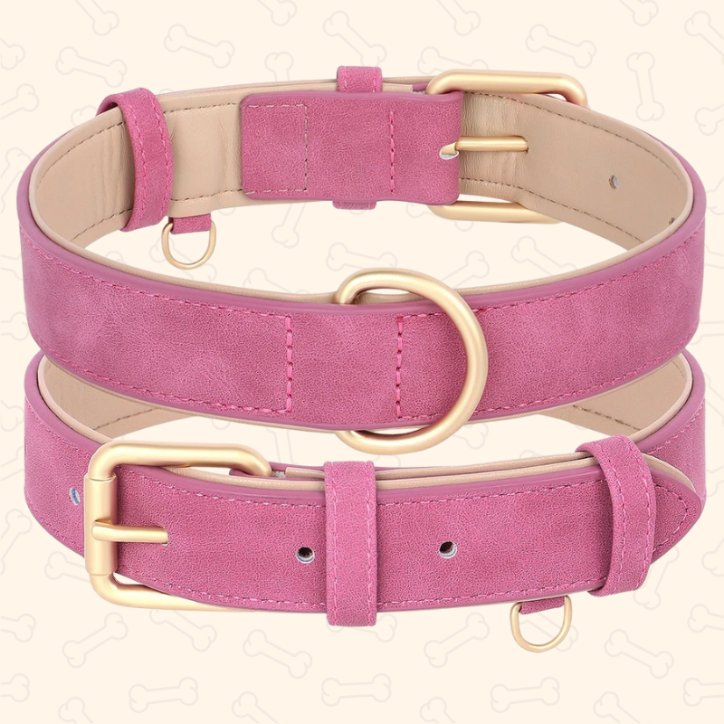 Shadow Luxury Soft Padded PU Leather Dog Collar & Leash Set