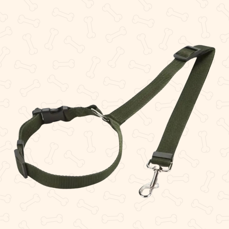 Shadow 2-in-1 Adjustable Dog Car Seat Belt & Leash