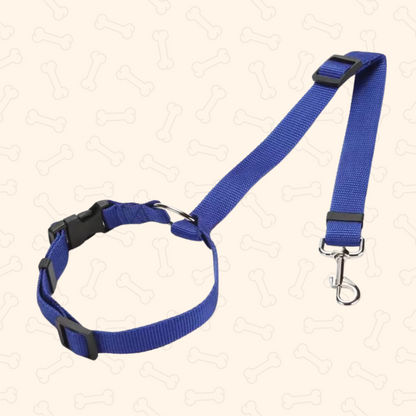 Shadow 2-in-1 Adjustable Dog Car Seat Belt & Leash