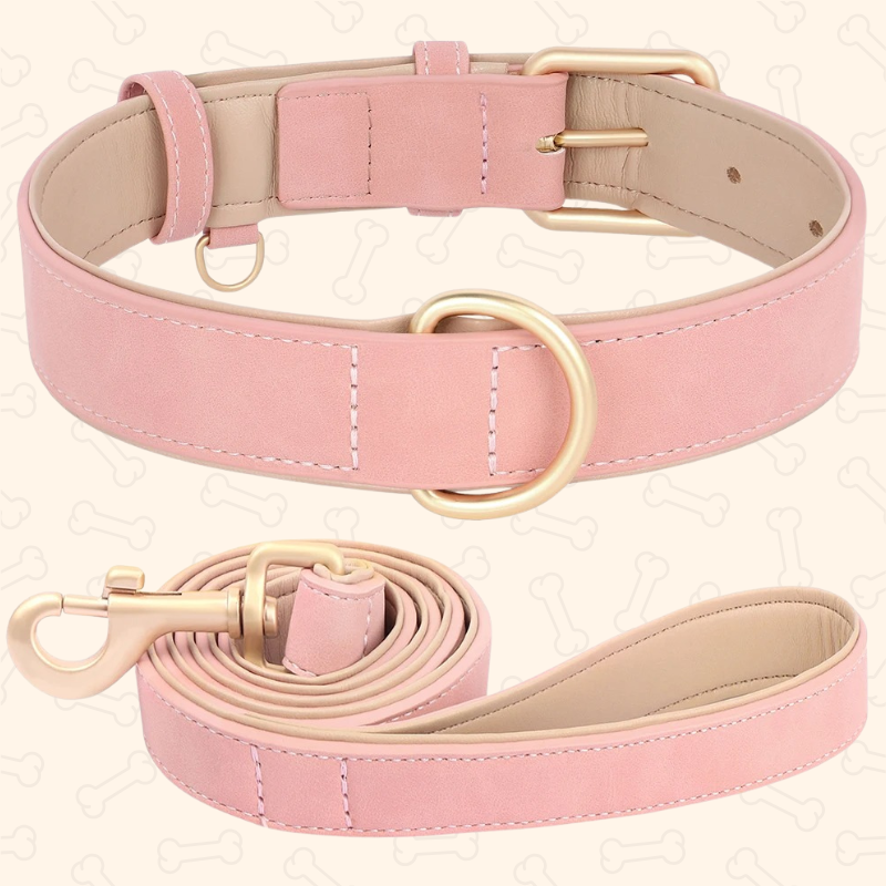 Shadow Luxury Soft Padded PU Leather Dog Collar & Leash Set