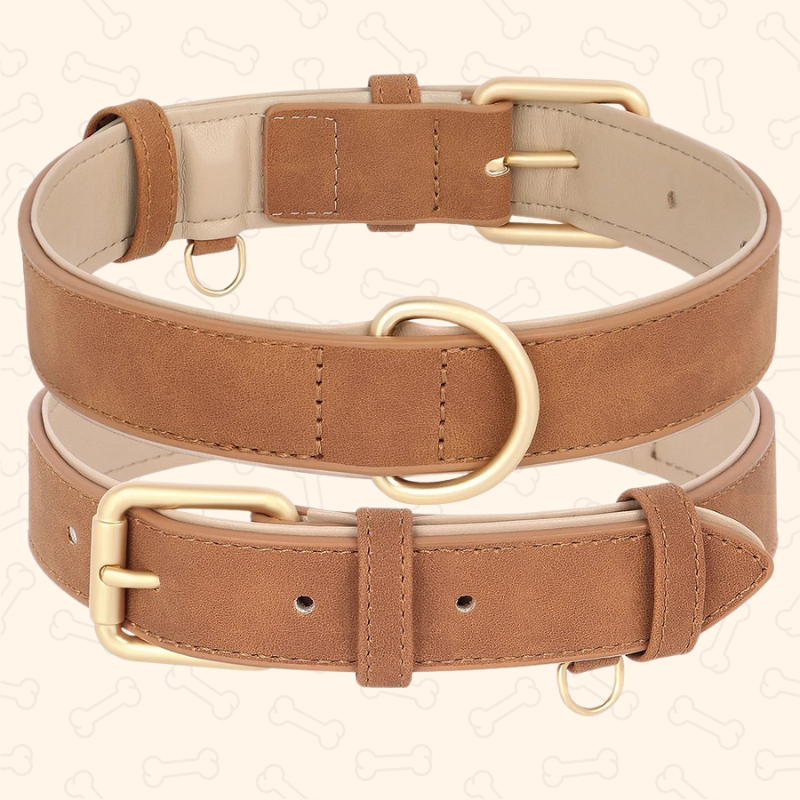 Shadow Luxury Soft Padded PU Leather Dog Collar & Leash Set
