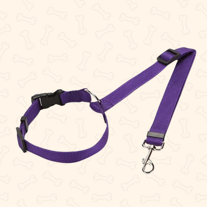 Shadow 2-in-1 Adjustable Dog Car Seat Belt & Leash