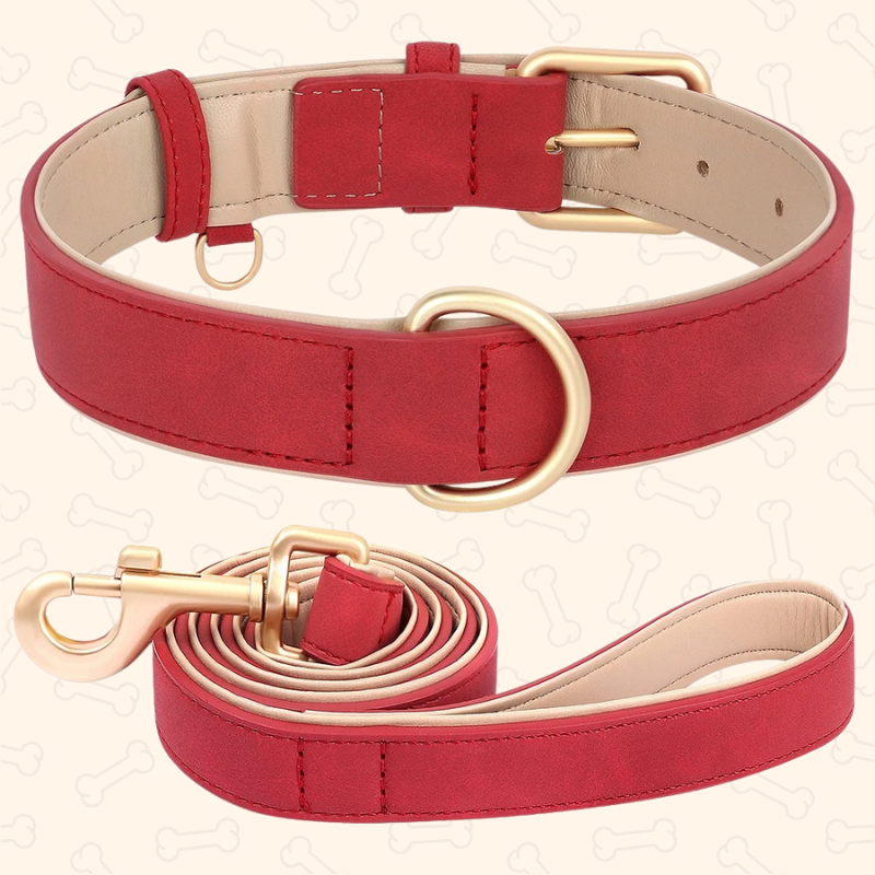 Shadow Luxury Soft Padded PU Leather Dog Collar & Leash Set