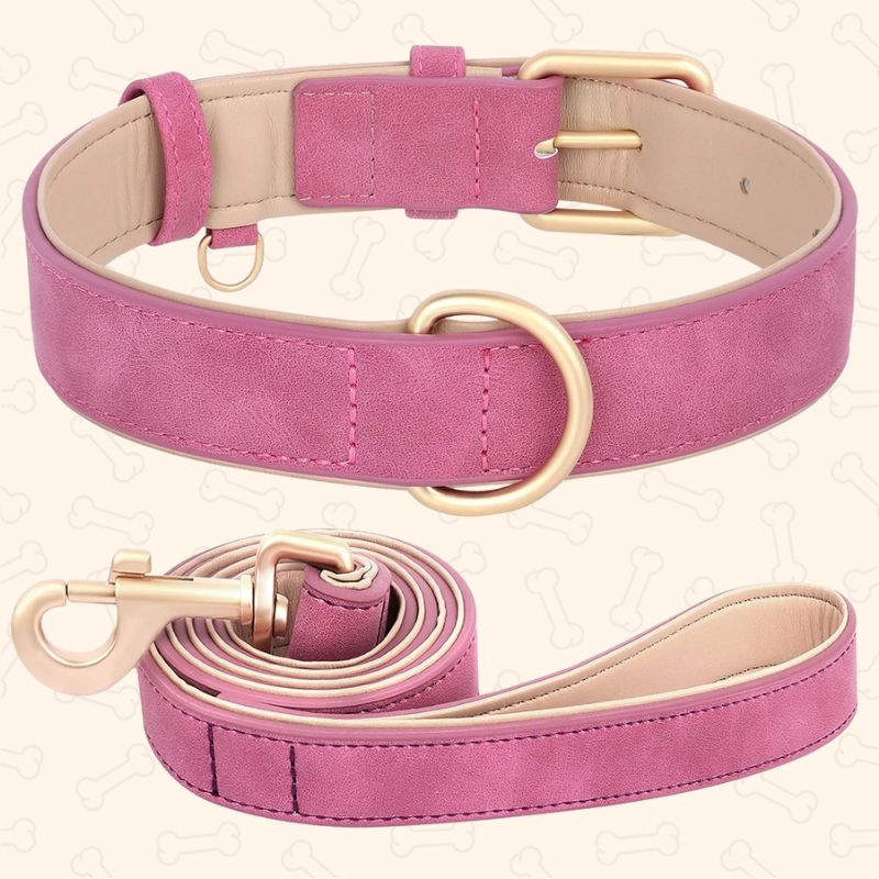 Shadow Luxury Soft Padded PU Leather Dog Collar & Leash Set