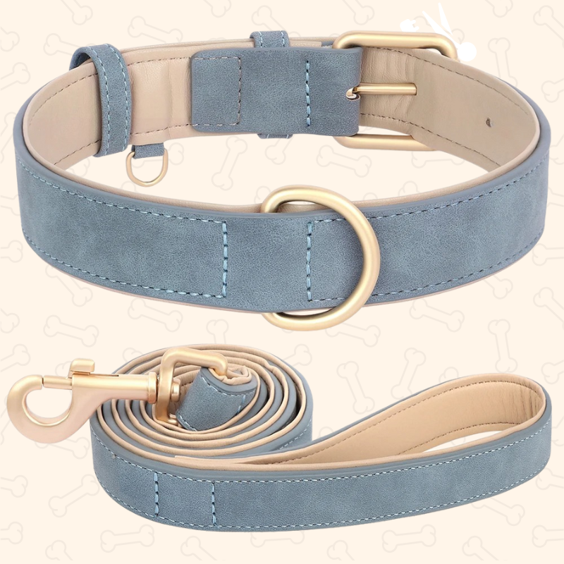 Shadow Luxury Soft Padded PU Leather Dog Collar & Leash Set