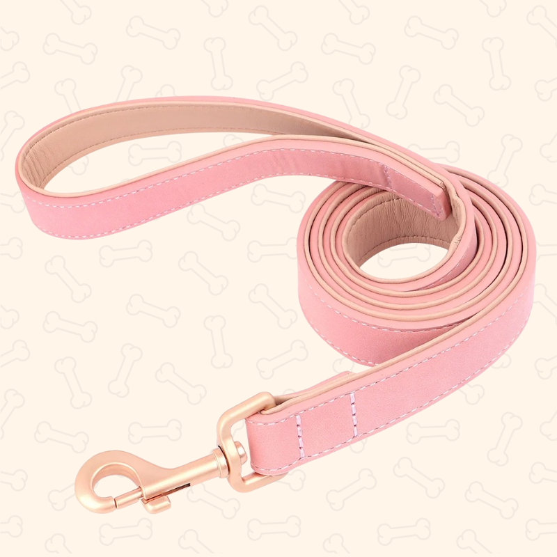 Shadow Luxury Soft Padded PU Leather Dog Collar & Leash Set