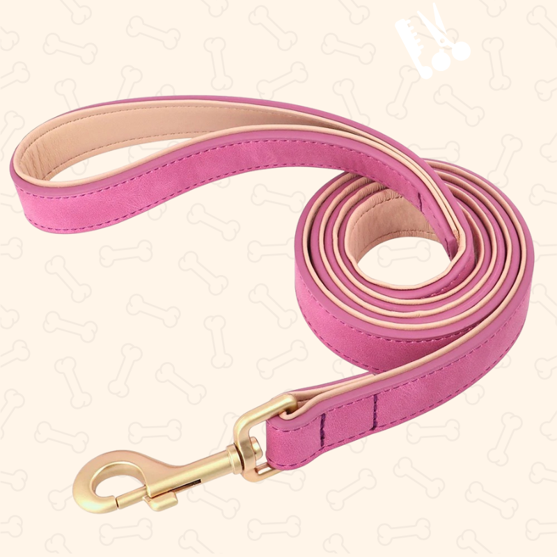 Shadow Luxury Soft Padded PU Leather Dog Collar & Leash Set