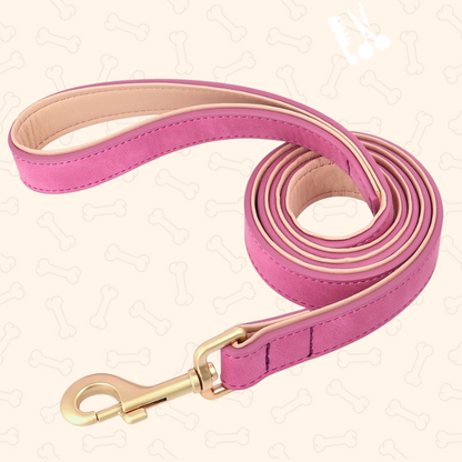 Shadow Luxury Soft Padded PU Leather Dog Collar & Leash Set