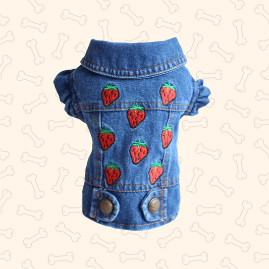 Shadow Pawfect Denim Dog Jacket – Cool, Comfy & Full of Attitude