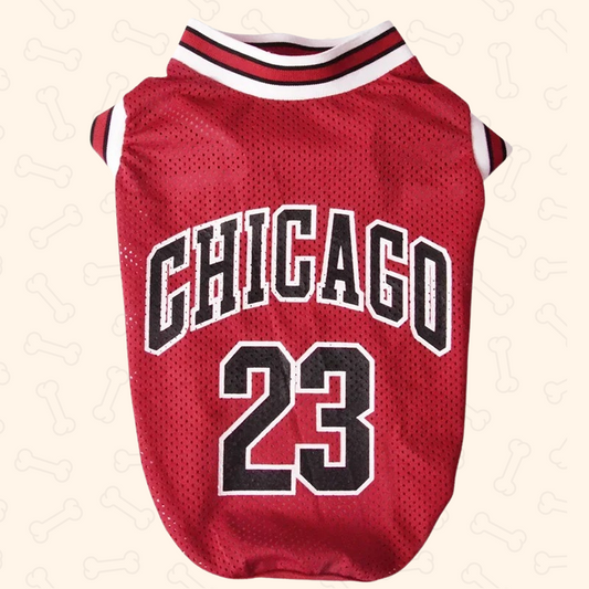 Shadow Windy City Pup Jersey – Cool, Sporty & Slam-Dunk Ready