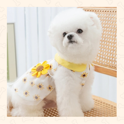 Shadow Sunflower Dreams Dog Dress – Bright, Elegant & Summer-Perfect