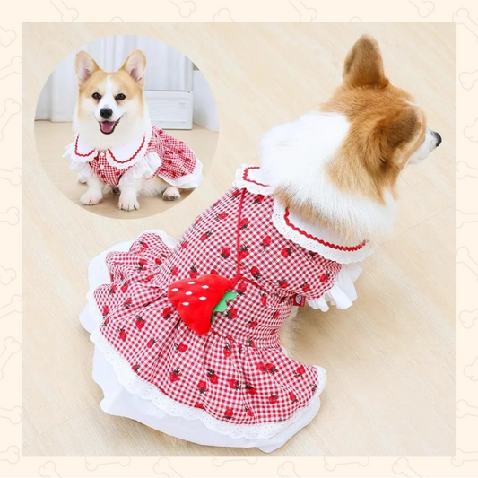 Shadow Sweet Strawberry Pet Dress – Adorable, Airy & Perfectly Plaid