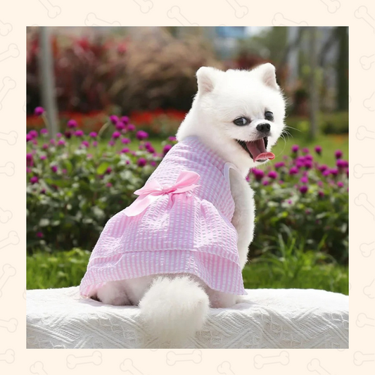 Shadow Princess Pup Tutu Dress – Sweet, Flowy & Full of Charm
