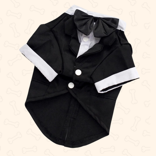 Shadow Gentlewoof Tuxedo Dog Suit – Classy, Charming & Made to Impress