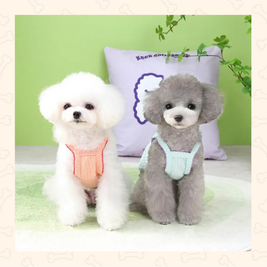 Shadow Summer Breeze Strap Dog Outfit – Soft, Airy & Effortlessly Cute