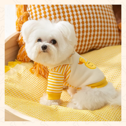 Shadow Chic Pup Hoodie Coat – Lightweight, Stylish & Built for Comfort