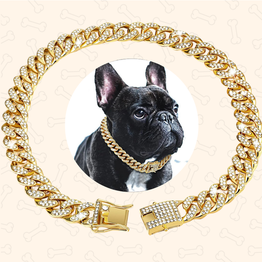 Diamond Cuban Pet Collar – Luxe, Durable & Made to Shine