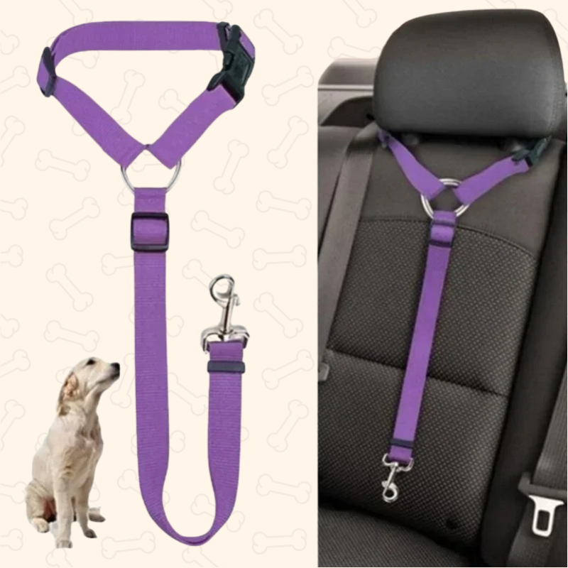 Shadow 2-in-1 Adjustable Dog Car Seat Belt & Leash