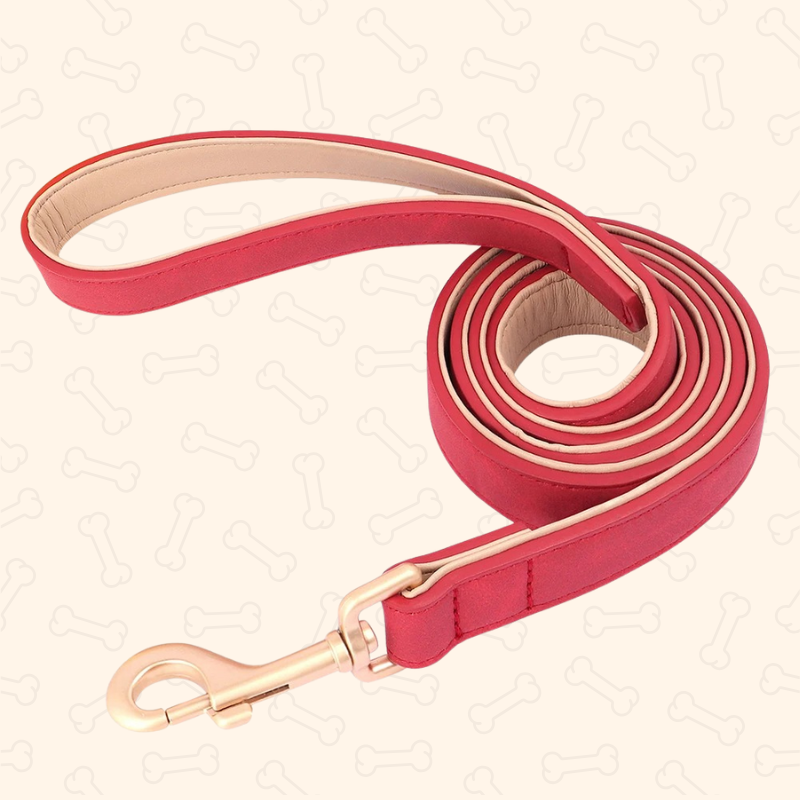 Shadow Luxury Soft Padded PU Leather Dog Collar & Leash Set