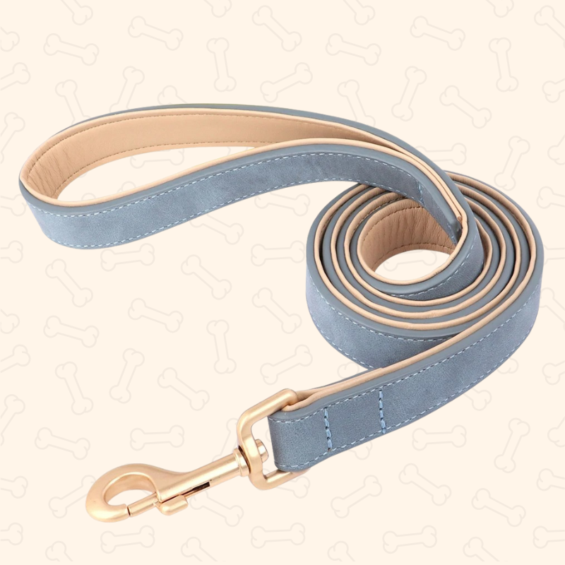 Shadow Luxury Soft Padded PU Leather Dog Collar & Leash Set