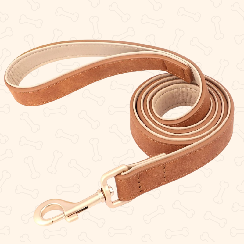 Shadow Luxury Soft Padded PU Leather Dog Collar & Leash Set