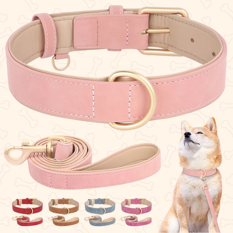 Shadow Luxury Soft Padded PU Leather Dog Collar & Leash Set