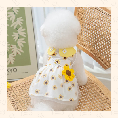 Shadow Sunflower Dreams Dog Dress – Bright, Elegant & Summer-Perfect