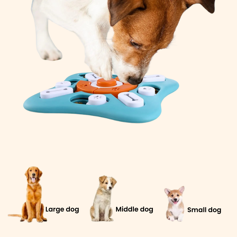 Shadow BrainBoost Dog Puzzle Feeder
