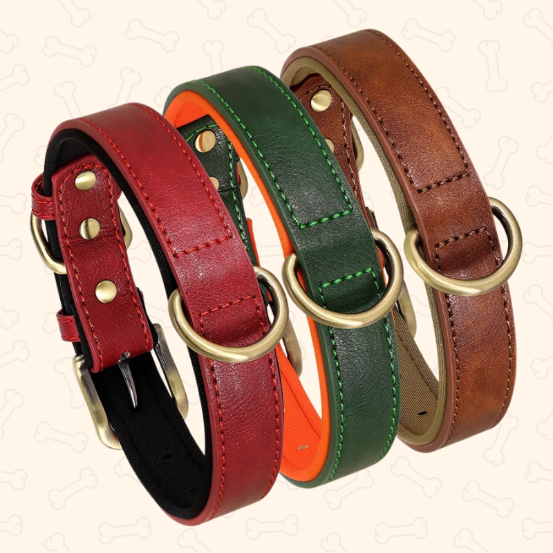 ™Shadow Premium Soft Padded PU Leather Dog Collar
