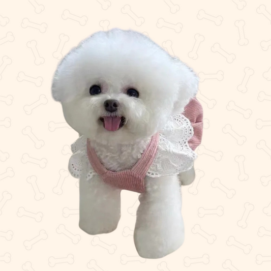 Shadow Pretty Paws Corduroy Dress