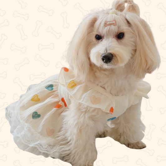Shadow Royal Hearts Lace Pet Dress