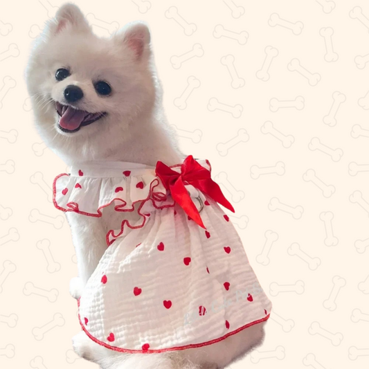Shadow Summer Bow Princess Pet Dress