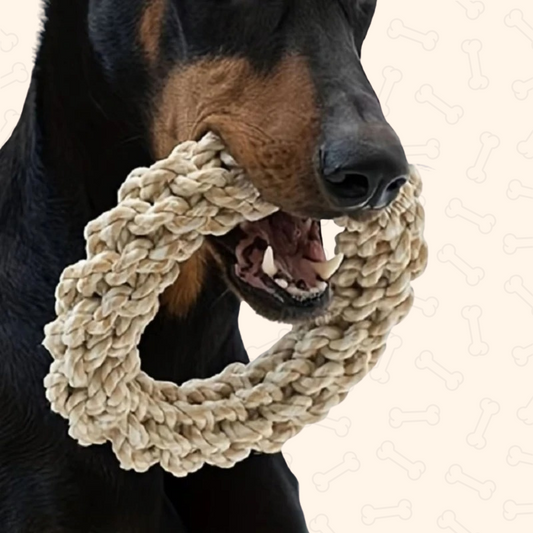Shadow Tough Ring Rope Chew Toy – Durable & Fun