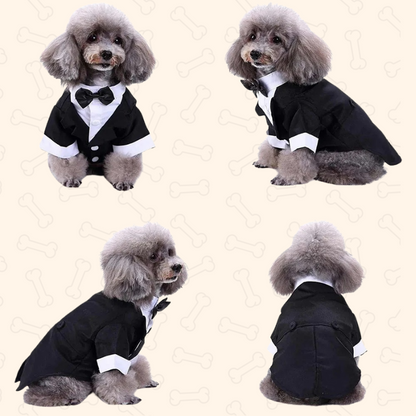 Shadow Gentlewoof Tuxedo Dog Suit – Classy, Charming & Made to Impress