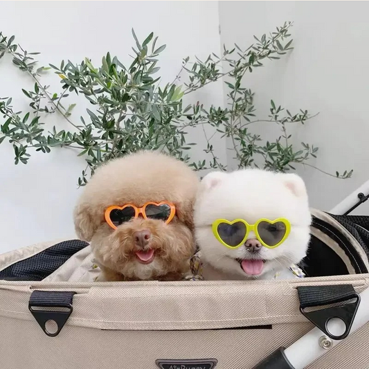 Shadow Heart-Shaped Dog Sunglasses – Cute Pet Shades