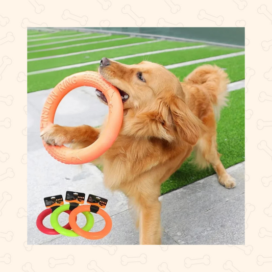 Shadow ToughGrip EVA Dog Training Ring
