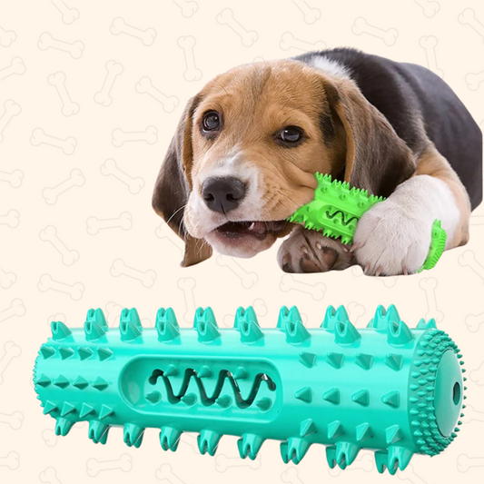 Shadow Durable Dog Dental Chew Stick – Teeth Cleaning & Play