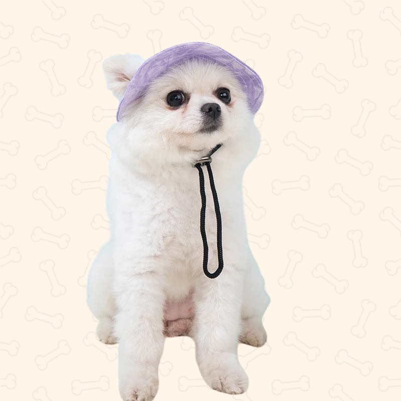 Shadow Breathable Pet Sun Hat – Lightweight & Stylish