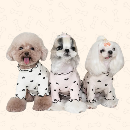 Shadow Cozy Paws Winter Waffle Sweater