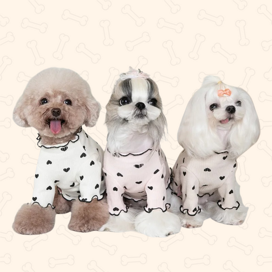 Shadow Cozy Paws Winter Waffle Sweater