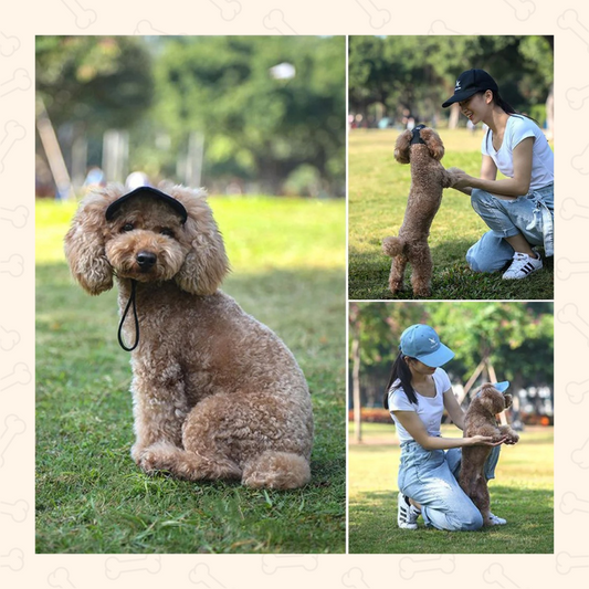 Shadow Waterproof Dog Sun Visor – Adjustable UV Protection Hat