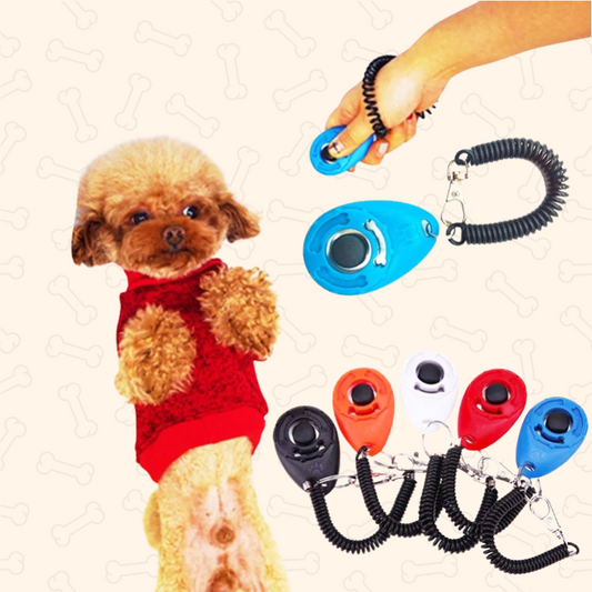 Shadow Pet Training Clicker – Wristband & Keychain Trainer