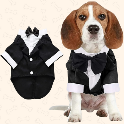 Shadow Gentlewoof Tuxedo Dog Suit – Classy, Charming & Made to Impress