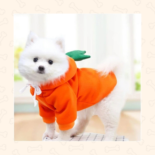 Shadow Fruit Pet Hoodie – Sweet, Snug & Full of Personality