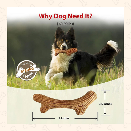 Shadow Natural Wood Chew Stick – Durable Dog Dental Toy