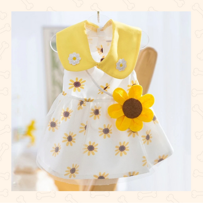 Shadow Sunflower Dreams Dog Dress – Bright, Elegant & Summer-Perfect