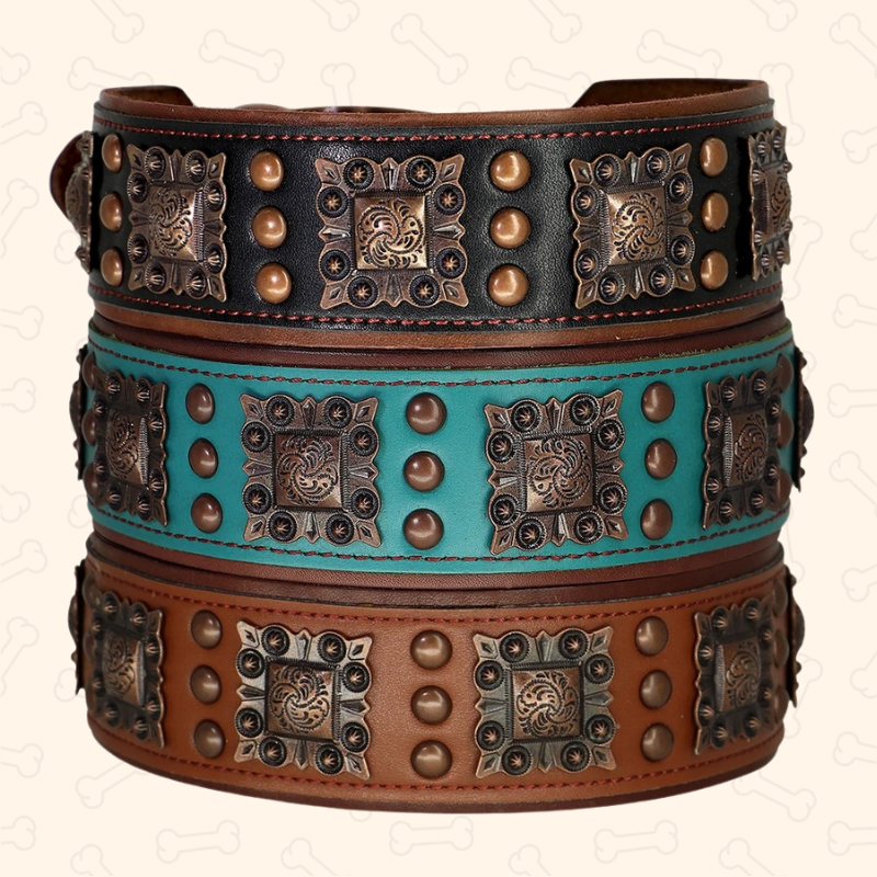 Shadow Royal Guard 2-Inch Wide Leather Dog Collar