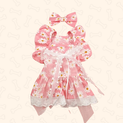Shadow Daisy Breeze Summer Pet Dress